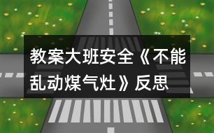 教案大班安全《不能亂動(dòng)煤氣灶》反思