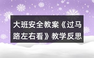 大班安全教案《過馬路左右看》教學(xué)反思