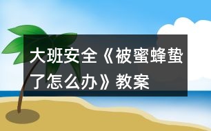 大班安全《被蜜蜂蟄了怎么辦》教案