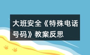 大班安全《特殊電話號(hào)碼》教案反思