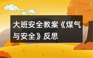 大班安全教案《煤氣與安全》反思