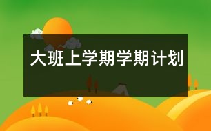 大班上學(xué)期學(xué)期計劃