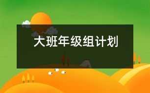 大班年級(jí)組計(jì)劃