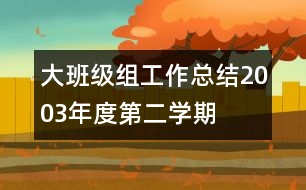 大班級組工作總結(jié)（2003年度第二學(xué)期）