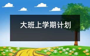 大班上學(xué)期計劃