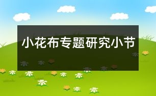 “小花布”專題研究小節(jié)