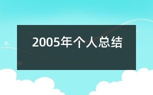 2005年個人總結