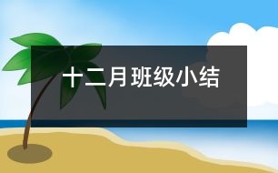 十二月班級(jí)小結(jié)