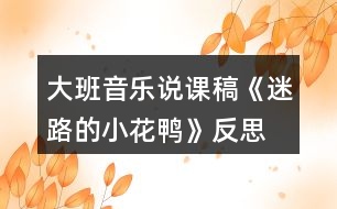 大班音樂說課稿《迷路的小花鴨》反思