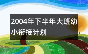 2004年下半年大班幼小銜接計(jì)劃