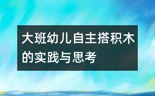 大班幼兒自主搭積木的實踐與思考