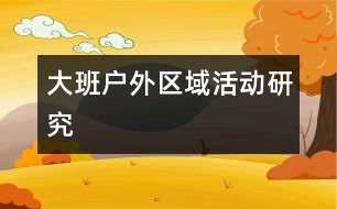 大班戶外區(qū)域活動研究