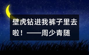 “壁虎”鉆進(jìn)我褲子里去啦！――周少青隨筆兩篇