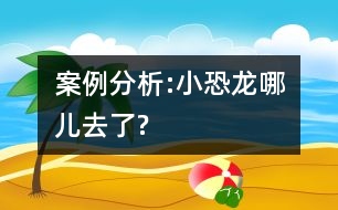 案例分析:小恐龍哪兒去了?