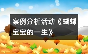 案例分析活動《蝴蝶寶寶的一生》