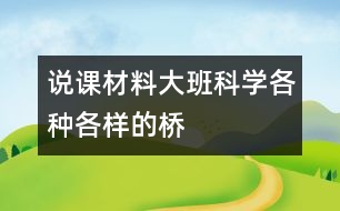 說課材料大班科學(xué)：各種各樣的橋