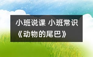 小班說課： 小班常識《動物的尾巴》