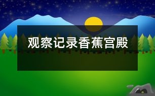 觀察記錄：香蕉宮殿