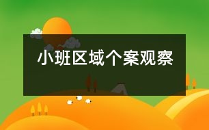 小班區(qū)域個案觀察