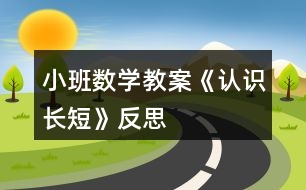 小班數(shù)學教案《認識長短》反思