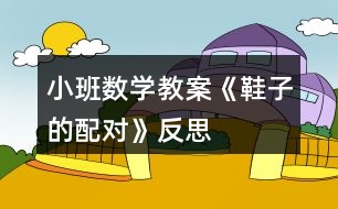 小班數(shù)學(xué)教案《鞋子的配對》反思