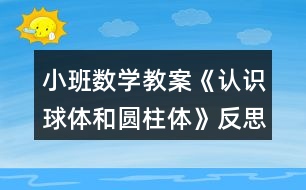 小班數(shù)學(xué)教案《認(rèn)識(shí)球體和圓柱體》反思