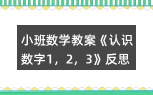 小班數(shù)學(xué)教案《認(rèn)識(shí)數(shù)字1，2，3》反思