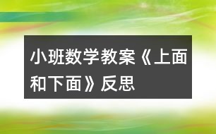 小班數(shù)學(xué)教案《上面和下面》反思