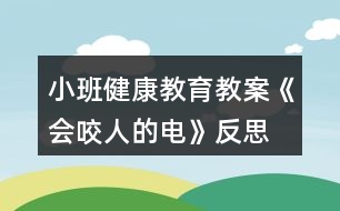 小班健康教育教案《會咬人的電》反思