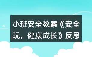 小班安全教案《安全玩，健康成長》反思