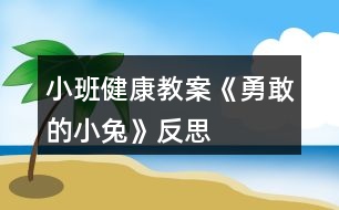 小班健康教案《勇敢的小兔》反思