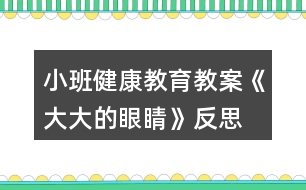 小班健康教育教案《大大的眼睛》反思