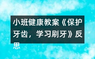 小班健康教案《保護牙齒，學(xué)習(xí)刷牙》反思