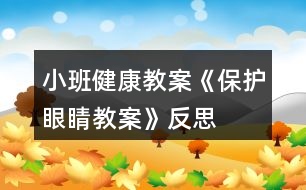 小班健康教案《保護眼睛教案》反思