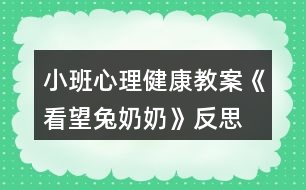 小班心理健康教案《看望兔奶奶》反思