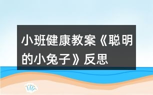 小班健康教案《聰明的小兔子》反思