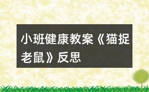 小班健康教案《貓捉老鼠》反思