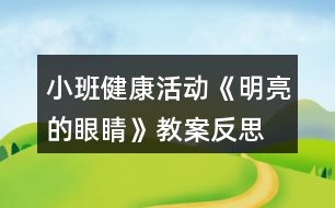 小班健康活動《明亮的眼睛》教案反思