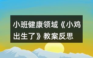 小班健康領(lǐng)域《小雞出生了》教案反思