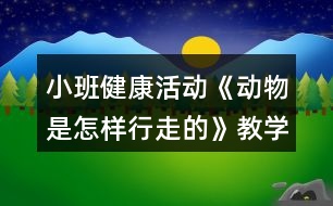 小班健康活動《動物是怎樣行走的》教學設計反思