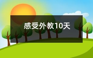 感受外教10天