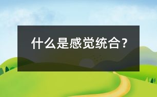 什么是感覺統(tǒng)合？