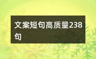 文案短句高質(zhì)量238句