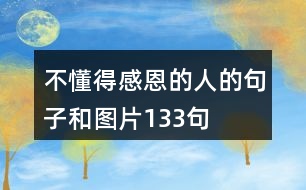 不懂得感恩的人的句子和圖片133句