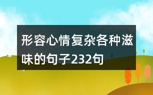 形容心情復(fù)雜各種滋味的句子232句