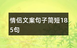 情侶文案句子簡(jiǎn)短185句