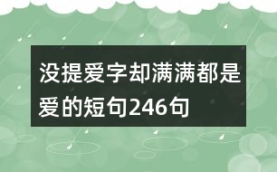 沒提愛字卻滿滿都是愛的短句246句