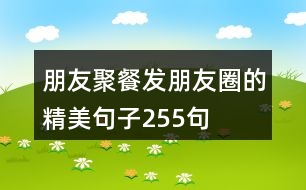 朋友聚餐發(fā)朋友圈的精美句子255句