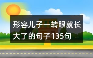 形容兒子一轉(zhuǎn)眼就長大了的句子135句