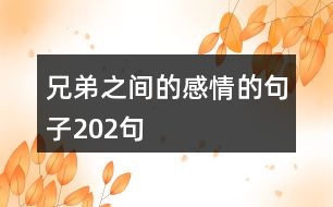 兄弟之間的感情的句子202句